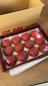 Read more about the article 宮崎ライチ